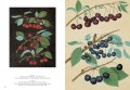 The Book of Fruits 3