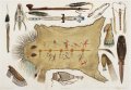 American Indian 4