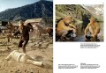 Steve McQueen 4