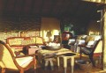 Safari Style 3