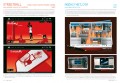 Web Design: Flash Sites 1 Web Design: Flash Sites 1