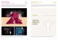 Web Design: Flash Sites 3 Web Design: Flash Sites 3