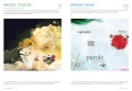 Web Design: Flash Sites 4 Web Design: Flash Sites 4