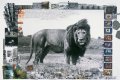 Peter Beard, Collector's Edition, Fayel Tall 5