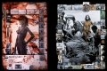 Peter Beard, Collector's Edition, Fayel Tall 8