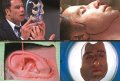 Aesthetic Surgery 8