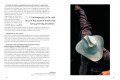Collecting Contemporary 9