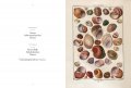 Dezallier d'Argenville, Shells 5