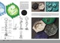 domus Vol. 10 6