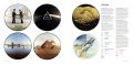 Extraordinary Records 8