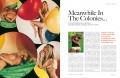 History of Men's Magazines Vol. 3 1