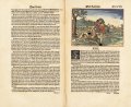 The Luther Bible of 1534 3