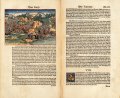 The Luther Bible of 1534 4