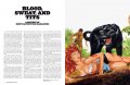 Men's Adventure Magazines 1