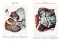 Atlas of Anatomy 3 Atlas of Anatomy 3