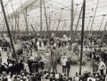 The Circus, 1870-1950 6 The Circus, 1870-1950 6