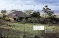 Inside Africa 6