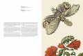 Maria Sibylla Merian, Insects of Surinam 3