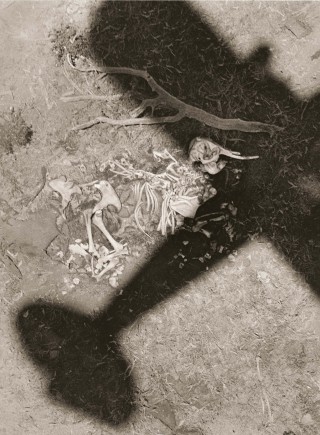 Machine in the Garden, Tsavo, 1972-73<br /> Photo (c) Peter Beard