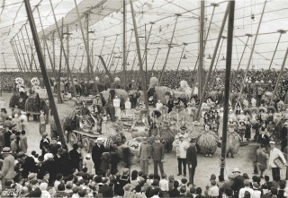 Ringling Bros. and Barnum &amp; Bailey, 1931. Illinois State University, Milner Library, Special Collections.