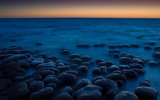 Stromatolites, Western Australia.