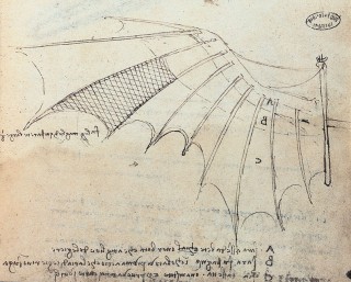 Detail of Studies of Wing Articulation, 1487&ndash;1490