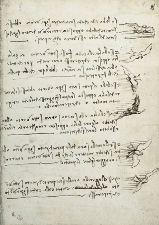 Leonardo da Vinci - The Complete Paintings and Drawings Anatomical Study of the Muscles of the Leg, c. 1490