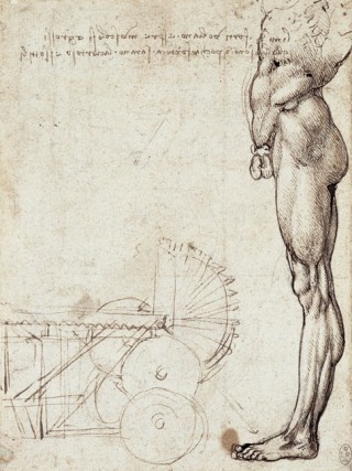 Anatomical Study of the Muscles of the Leg, c. 1490