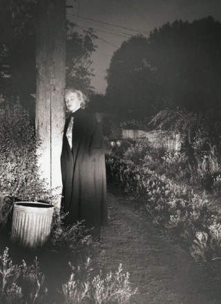 AndrĂ© de Dienes, Marilyn (80th Birthday Edition) Photo: André de Dienes