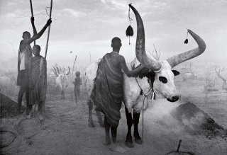 Dinka group at Pagarau cattle camp. Southern Sudan, 2006