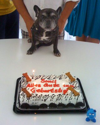 souci birthday 02