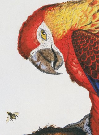 La Historia Me Absolvera (detail), 1999