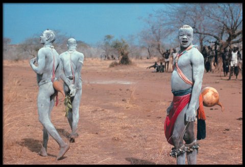 Riefenstahl, Portfolio - Wrestling Festival Riefenstahl, Portfolio - Wrestling Festival