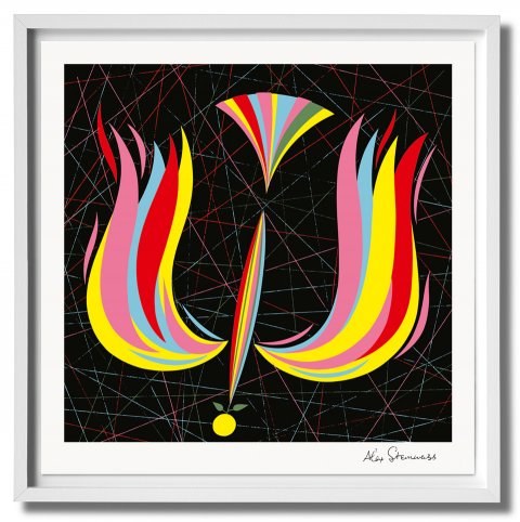 ce steinweiss print frame