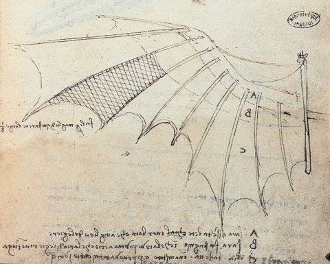 default_leonardo_exc_03_0706141026_id_44