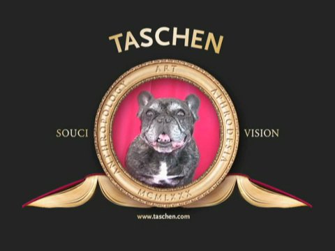 souci vision