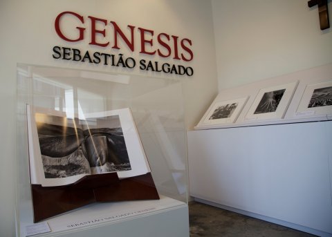 © Dalmiro Quiroga © Dalmiro Quiroga