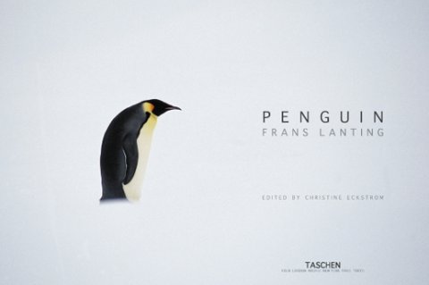 Frans Lanting. Pinguin