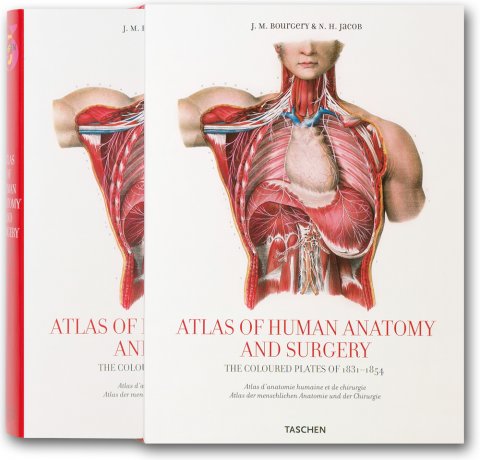 Atlas of Anatomy 1