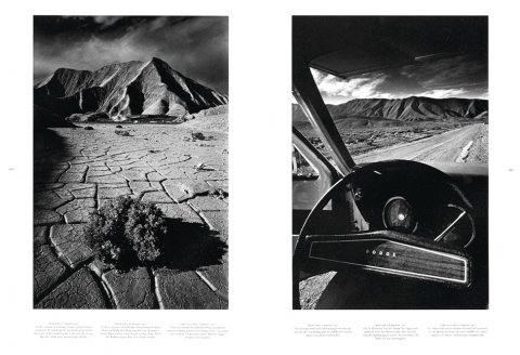 Jeanloup Sieff 5