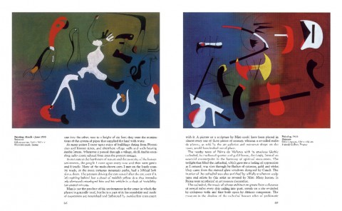 Miró 1
