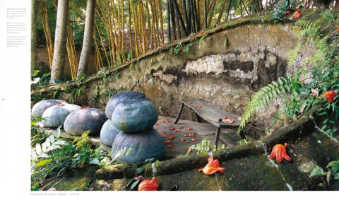 Living in Bali 6
