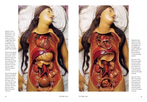 Encyclopaedia Anatomica 1