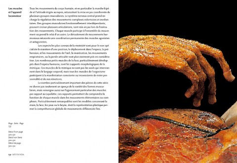 Encyclopaedia Anatomica 1