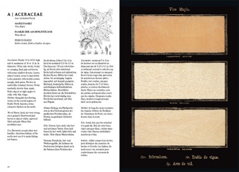 The Woodbook 1