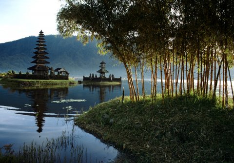 Bamboo Style 1
