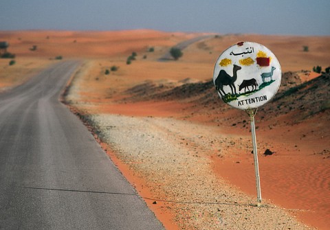 Signs 1
