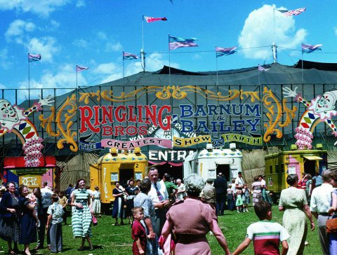 The Circus, 1870-1950 1