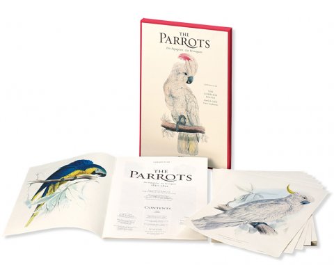 Edward Lear. The Parrots