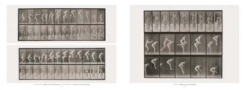 Eadweard Muybridge. The Human and Animal Locomotion Photographs